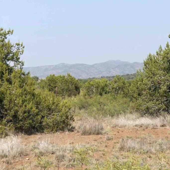 Cottonwood Creek Cabins - Alpine, Tx Exterior photo