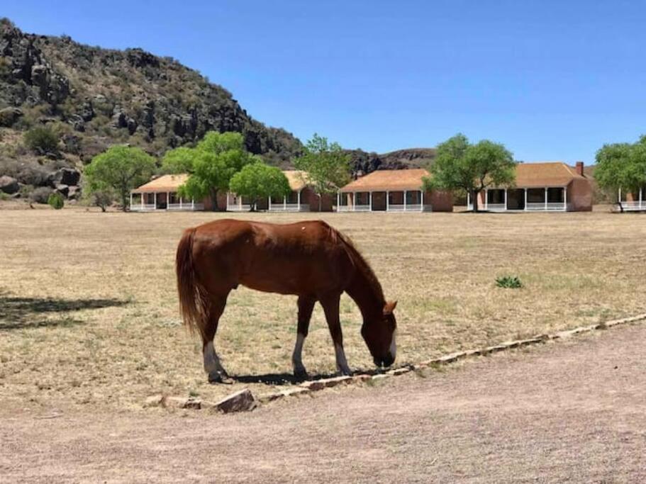 Cottonwood Creek Cabins - Alpine, Tx Exterior photo