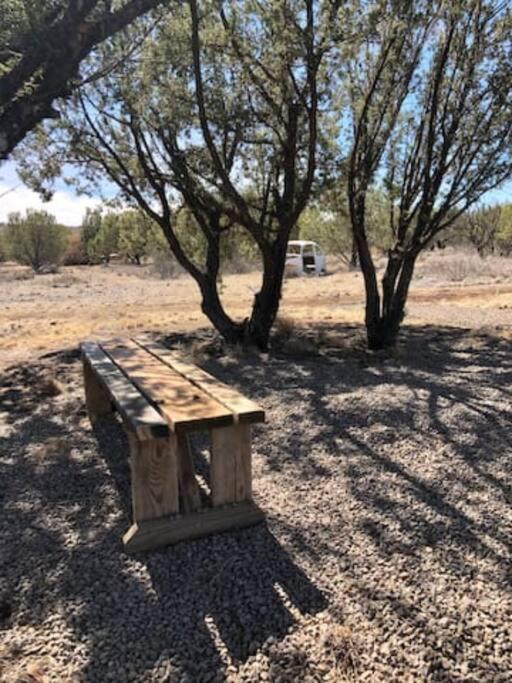 Cottonwood Creek Cabins - Alpine, Tx Exterior photo