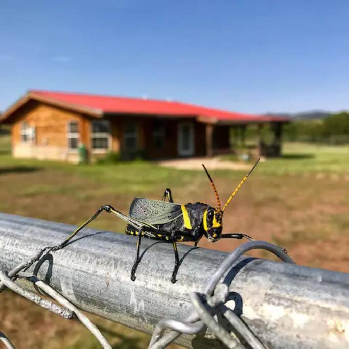 Cottonwood Creek Cabins - Alpine, Tx Exterior photo