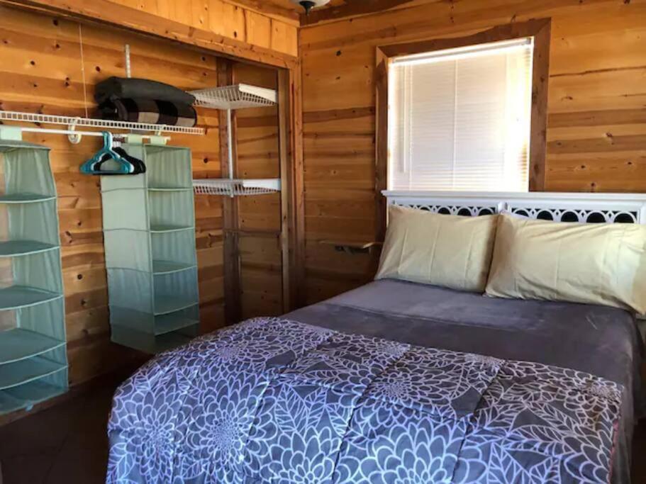 Cottonwood Creek Cabins - Alpine, Tx Exterior photo
